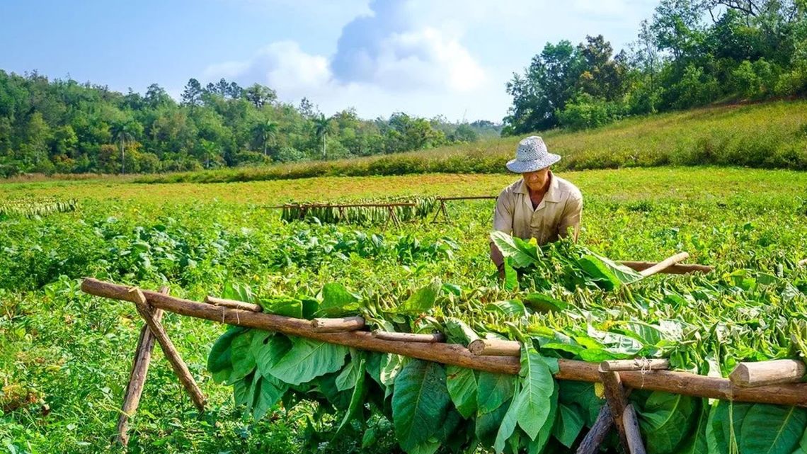 The Real Cuba - An Experience Not To Be Missed