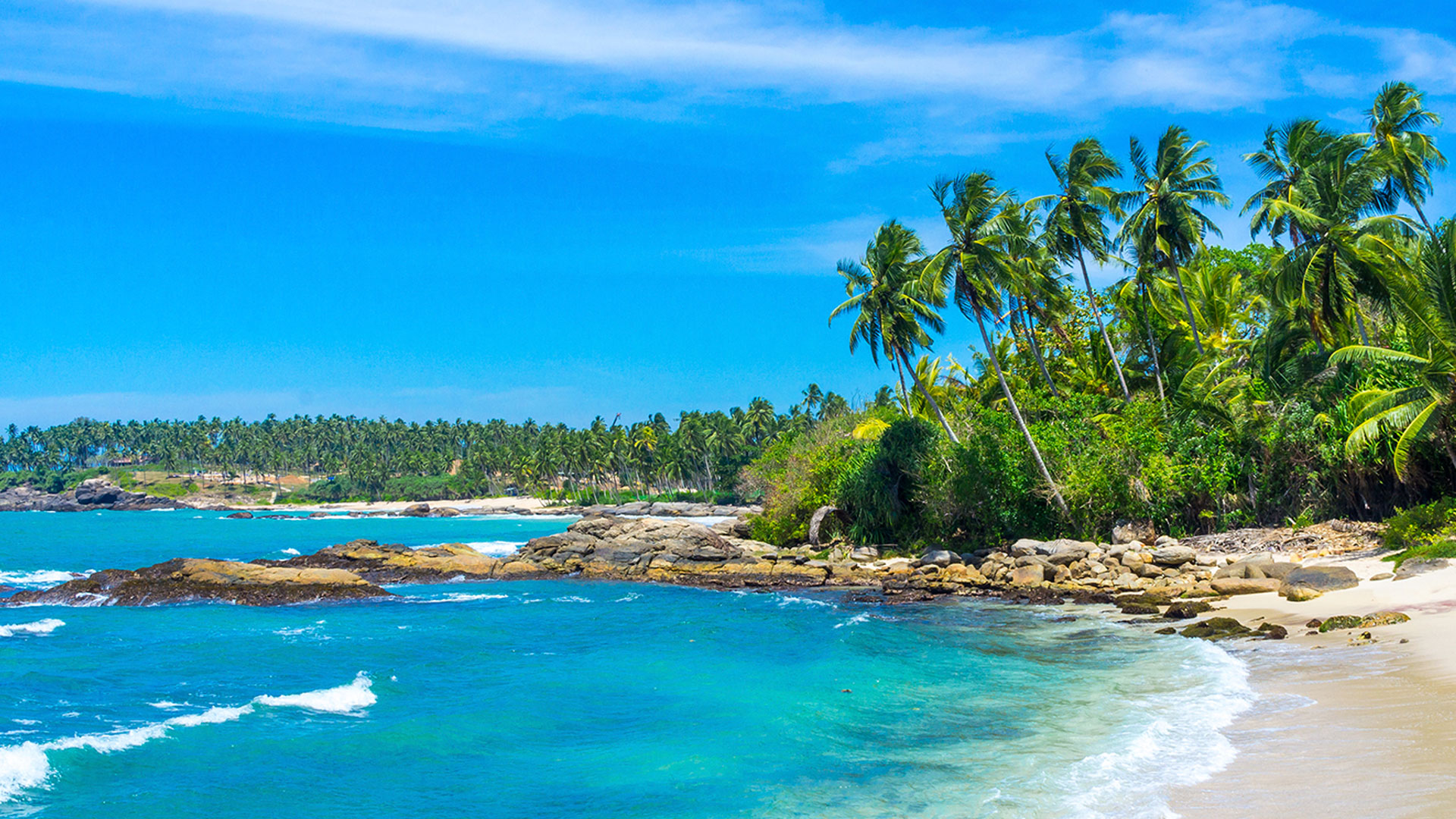 Relax on the pristine beaches of Sri Lanka