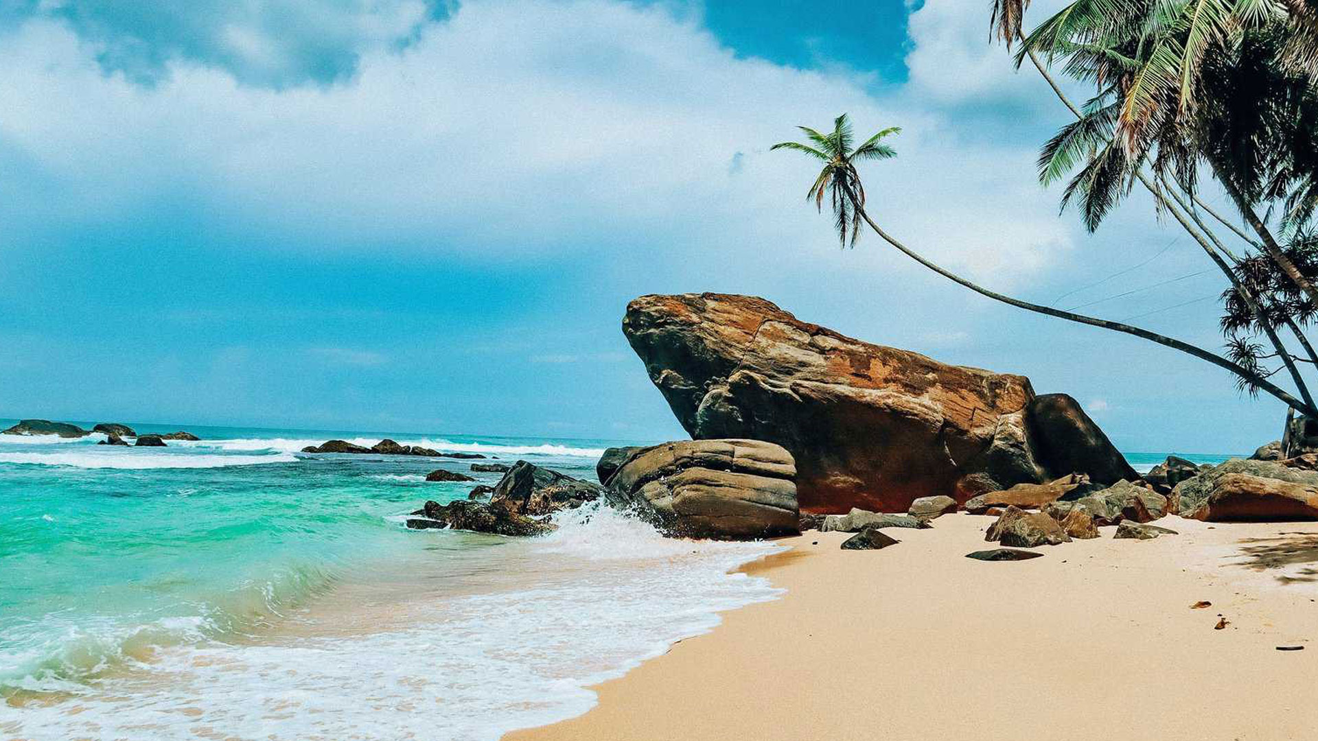 Enjoy the beach and some amazing wildlife excursions!