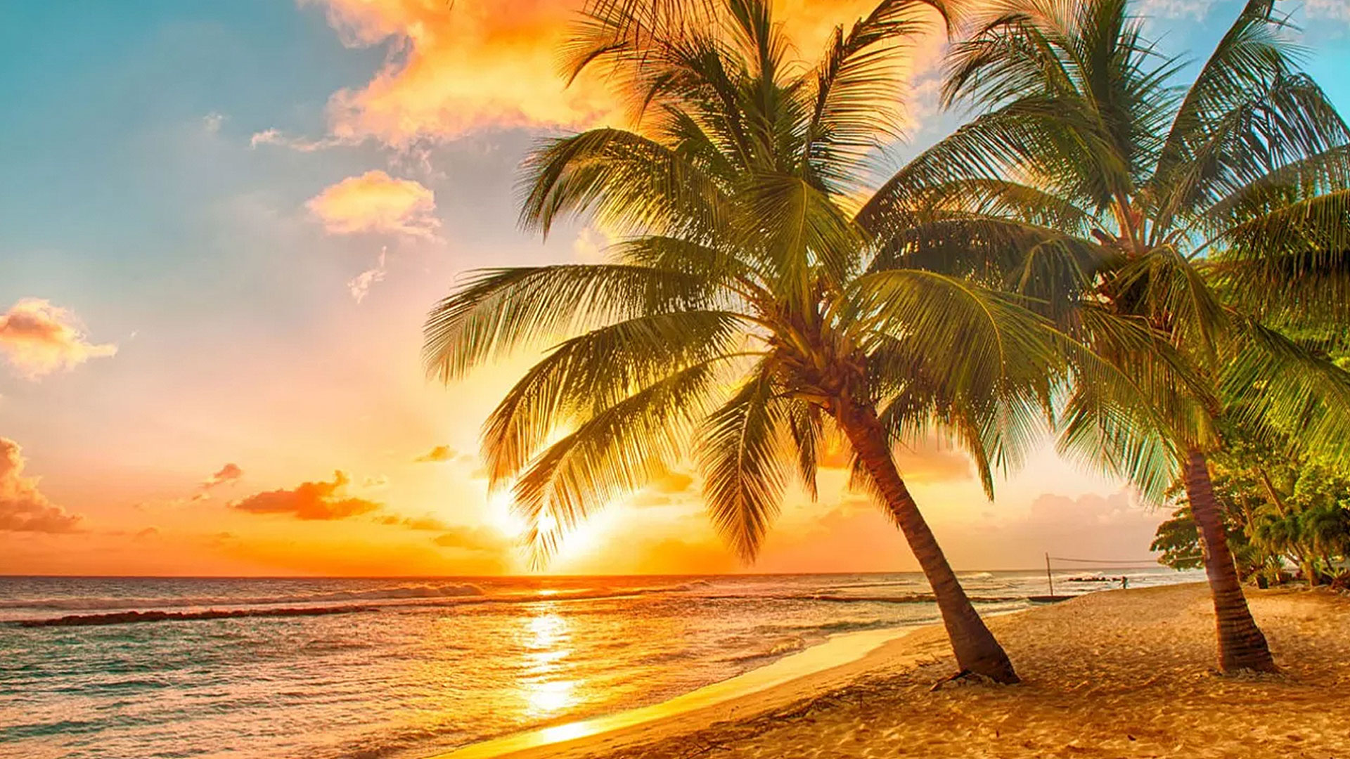 Enjoy an 8-night twin-centre, Caribbean escape