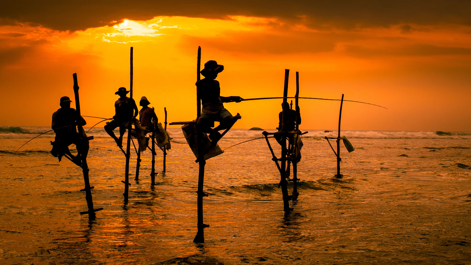 Enjoy private tour of Sri Lanka and a stunning beach stay!
