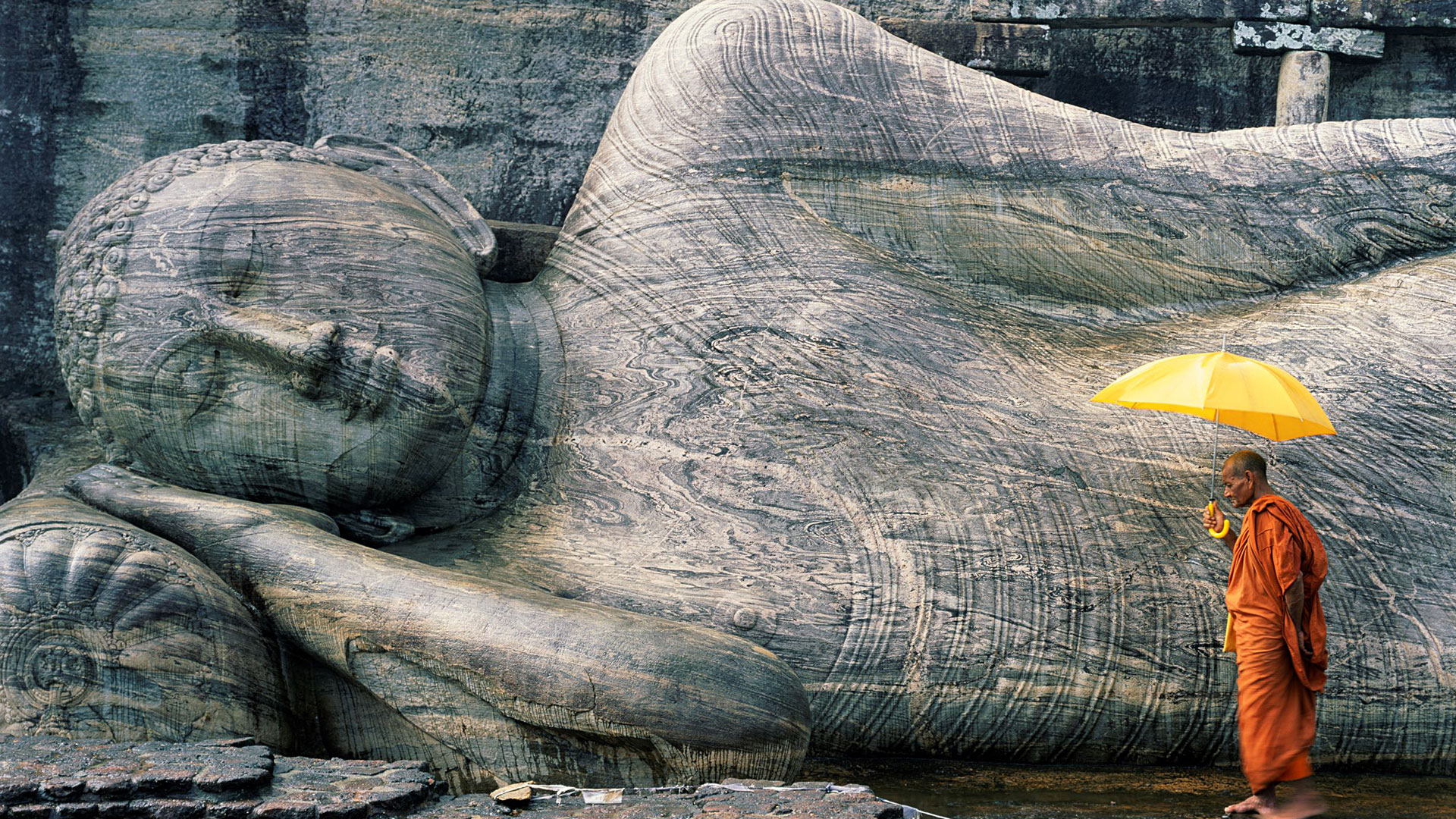 Enjoy private tour of Sri Lanka, including magical Yala!
