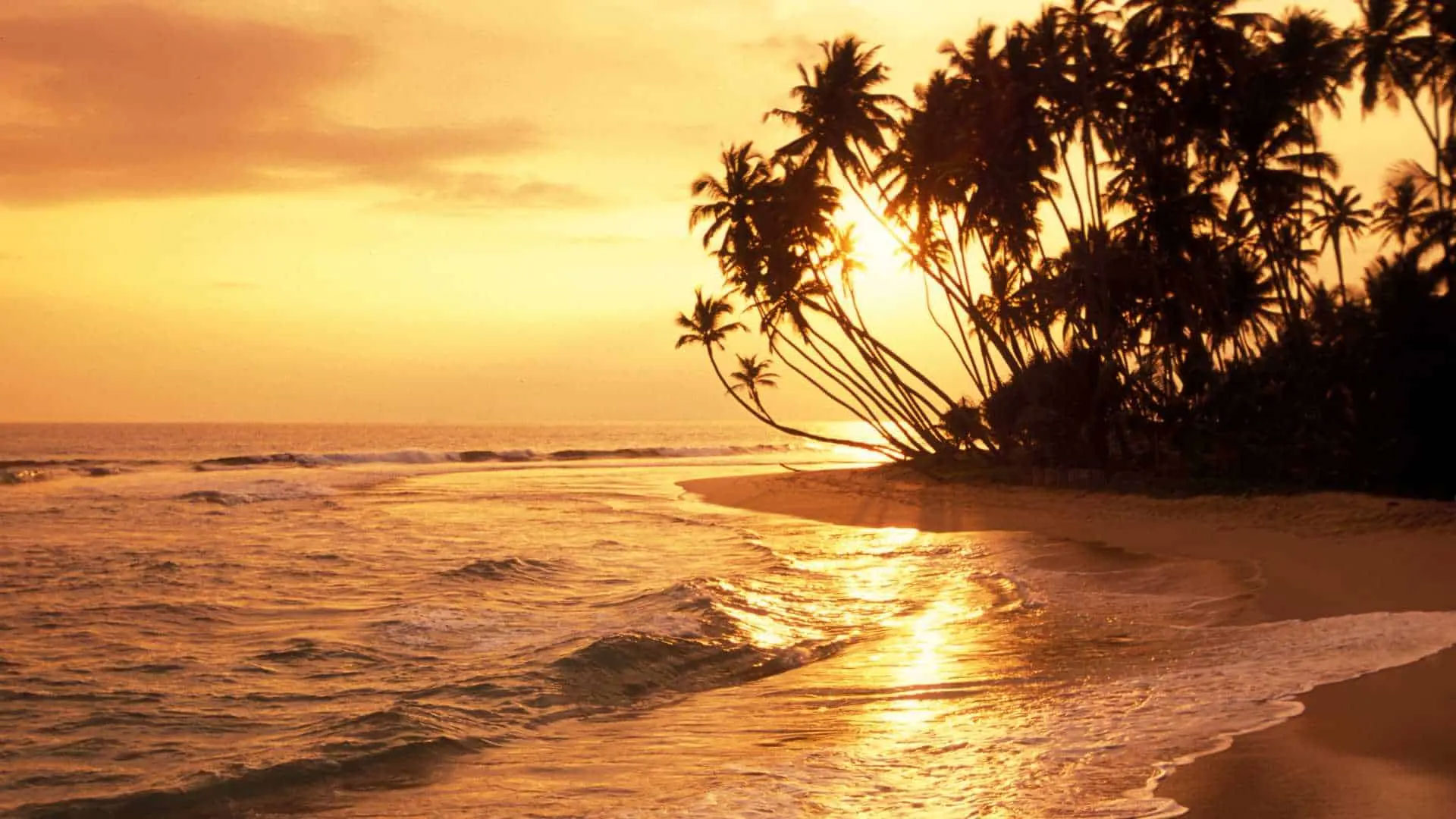Escorted Group tour of Sri Lanka