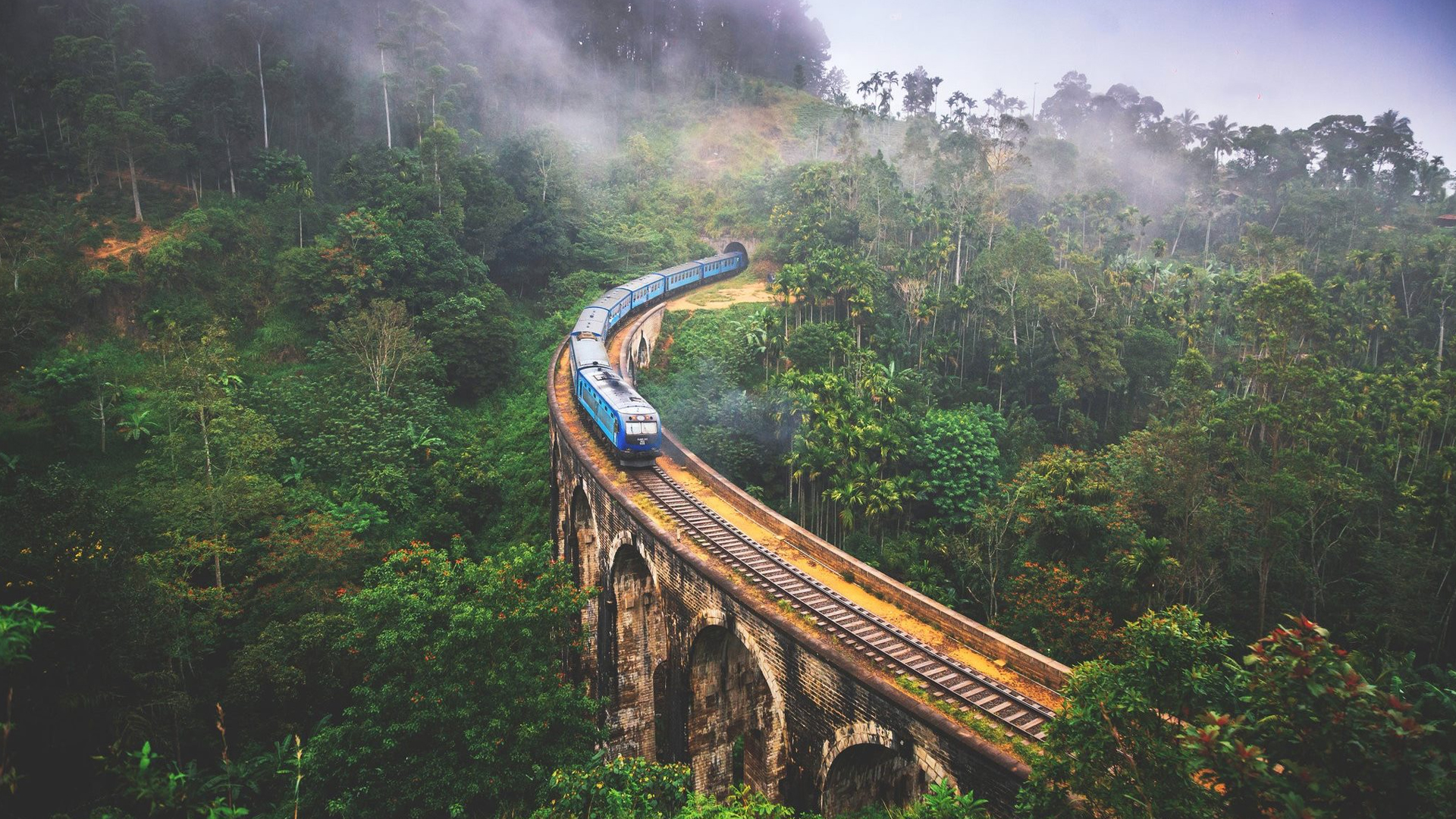 Escorted Group tour of Sri Lanka