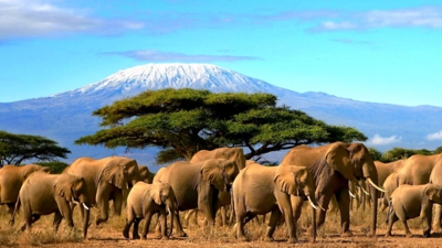 Tanzania