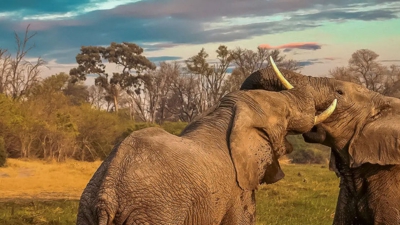 Botswana