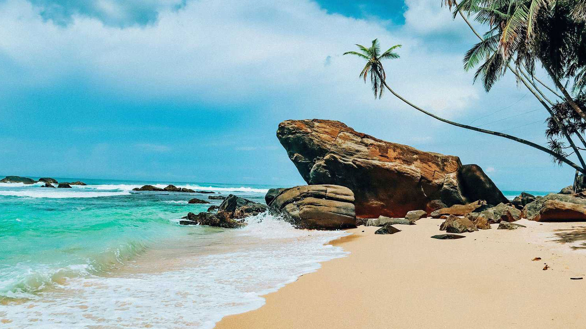 Private tour of Sri Lanka with Yala National Park!