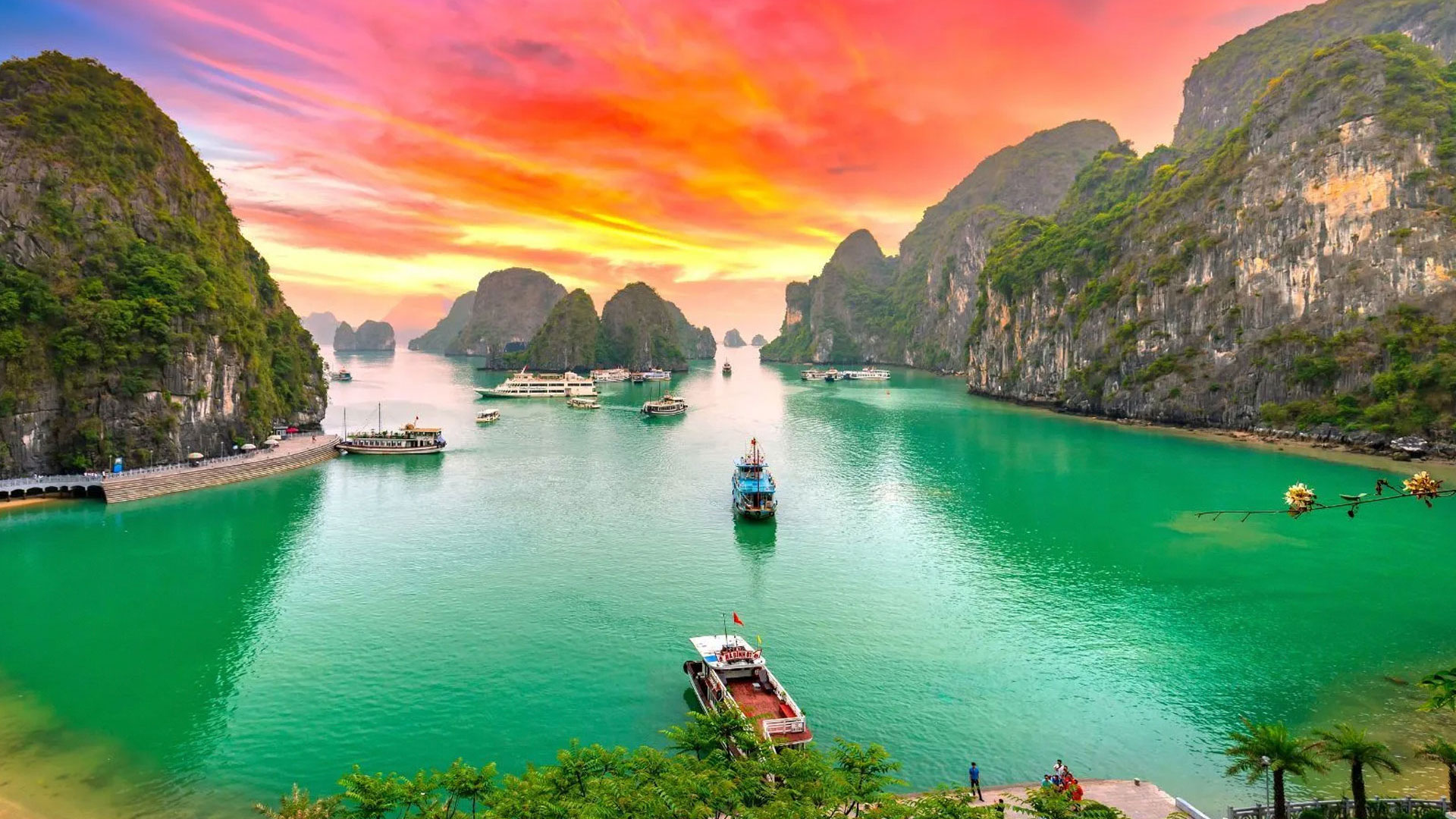 Enjoy vibrant Vietnam