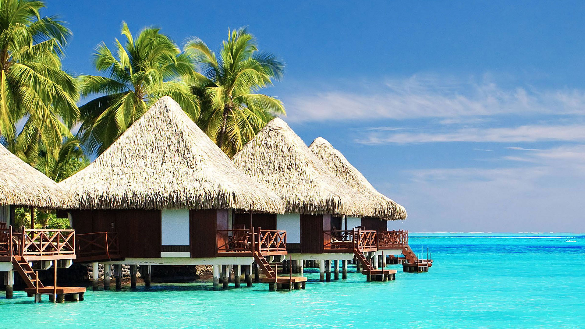 Enjoy a tour of Sri Lanka and the Maldives!