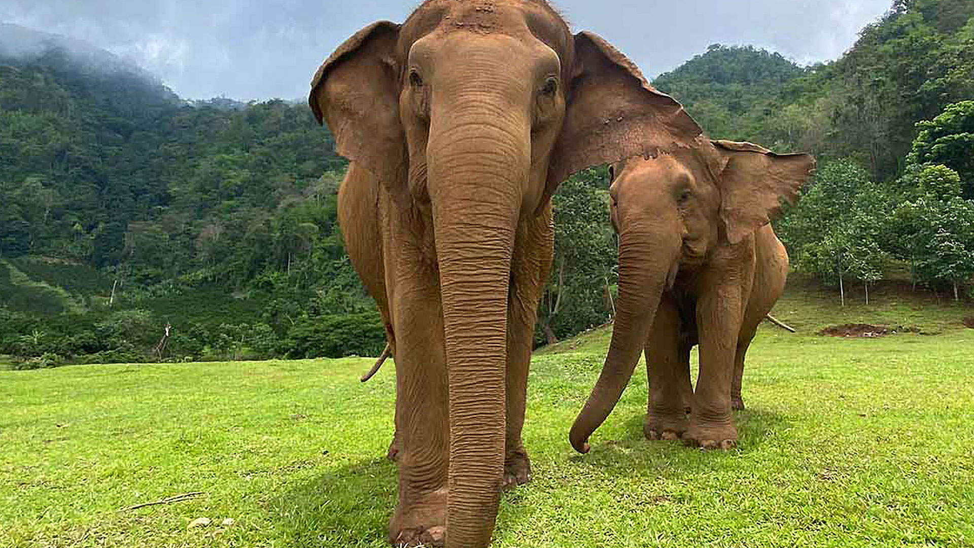 Explore the beauty of Thailand with a stay at Elephant Hills