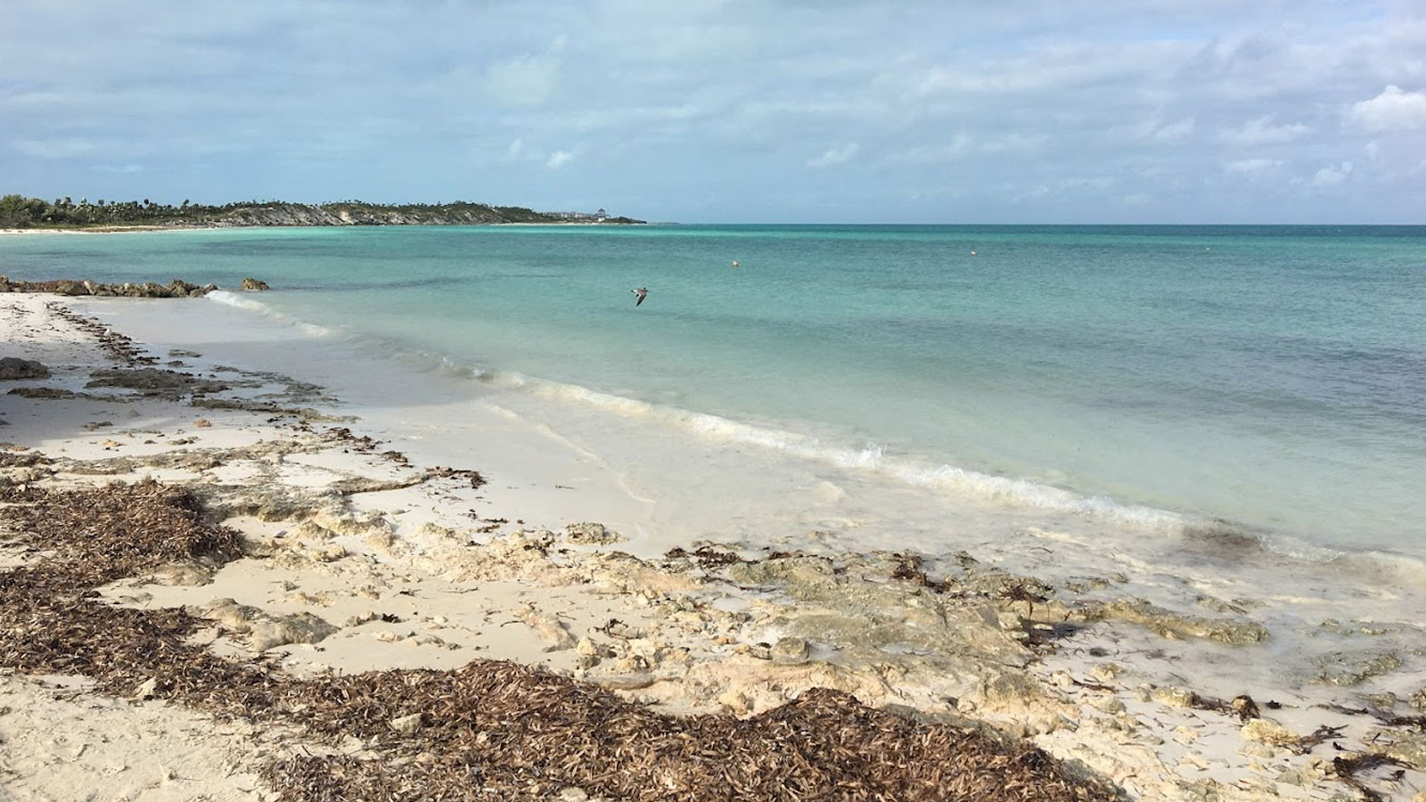 Iberostar Origin Playa Pilar Hotel